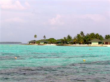 2004 Meedhupparu Malediven,_DSC03490 B_478